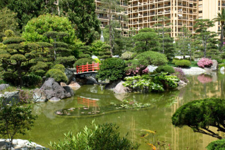 The Natural Beauty of a Japanese Garden Image